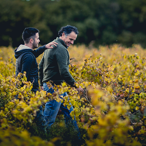 CHÂTEAU L'ERMITE D'AUZAN