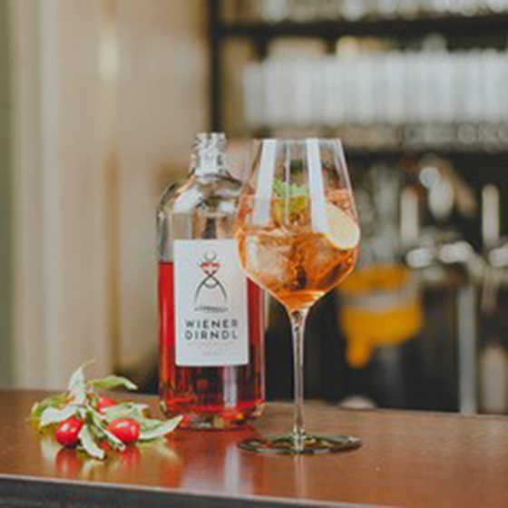 WIENER DIRNDL