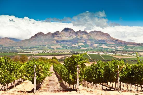 Stellenbosch