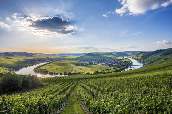 Mosel