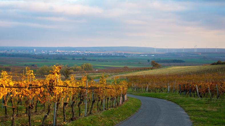 Mittelburgenland
