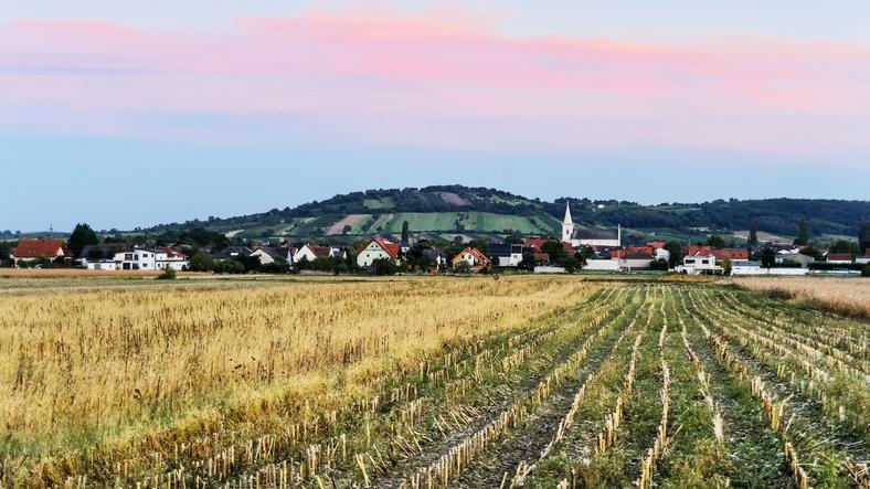 Neusiedlersee-Hügelland