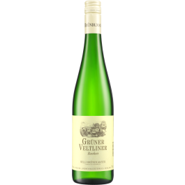 Grüner Veltliner Hauswein bio 2023